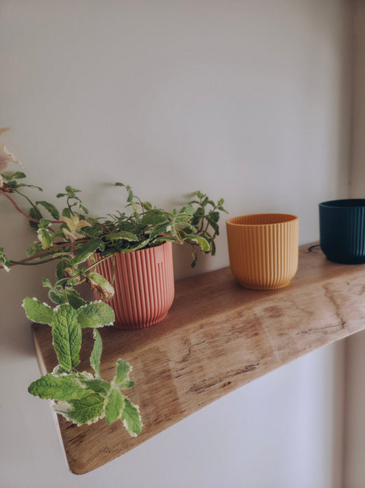Live Edge Wooden Shelf