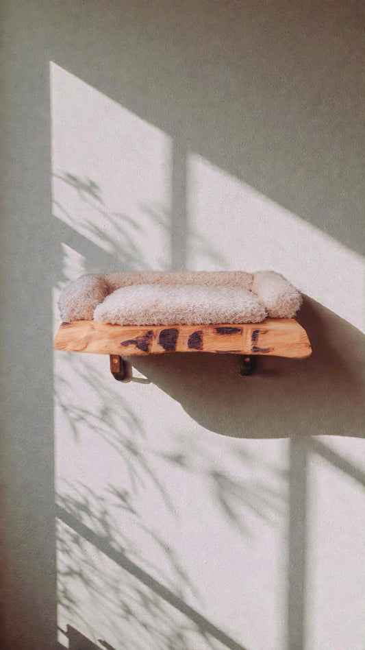 wall mounted solid oak cat bed with soft cushion. modular cat climbing wall.