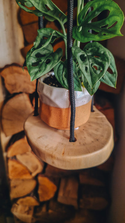 Potted plant on a live edge plant hanger with a rustic background
