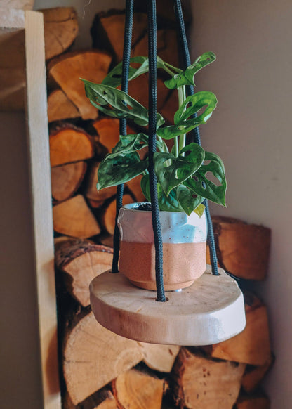 Hanging plant on a wooden stand against a background of stacked logs