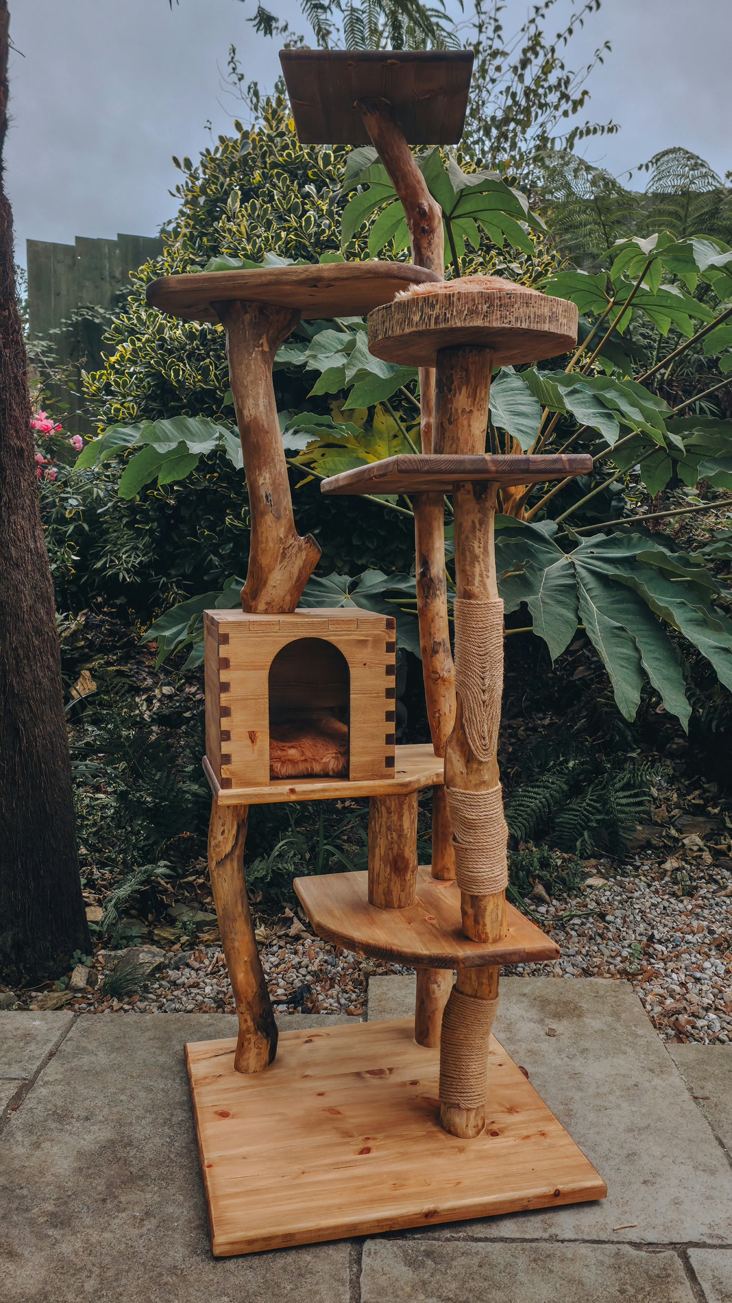 Wooden cat tree with multiple platforms and a hideout in an outdoor setting
