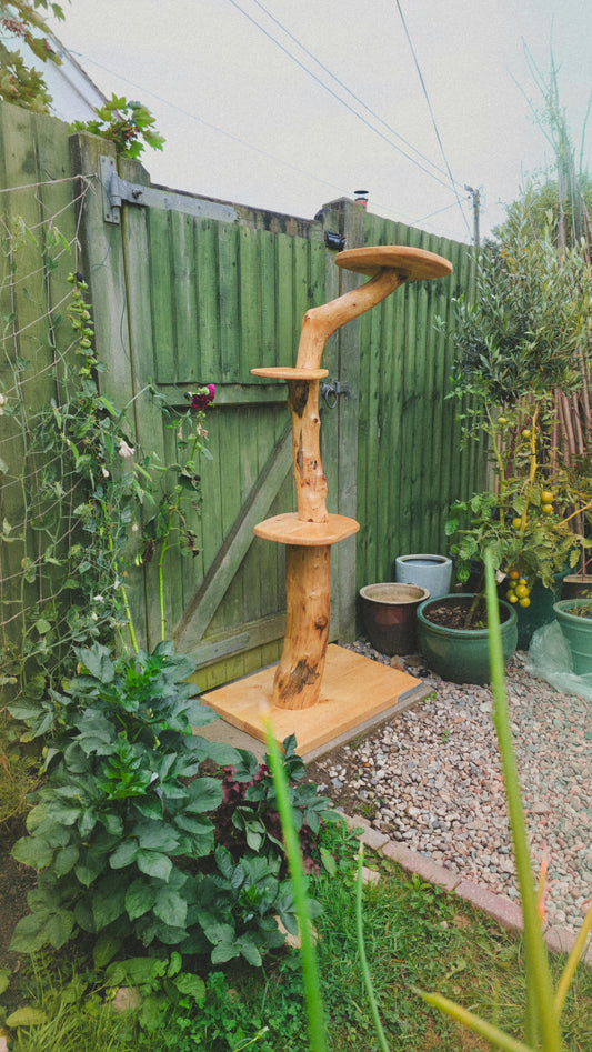 Wooden cat tree in a garden setting with greenery and a fence.