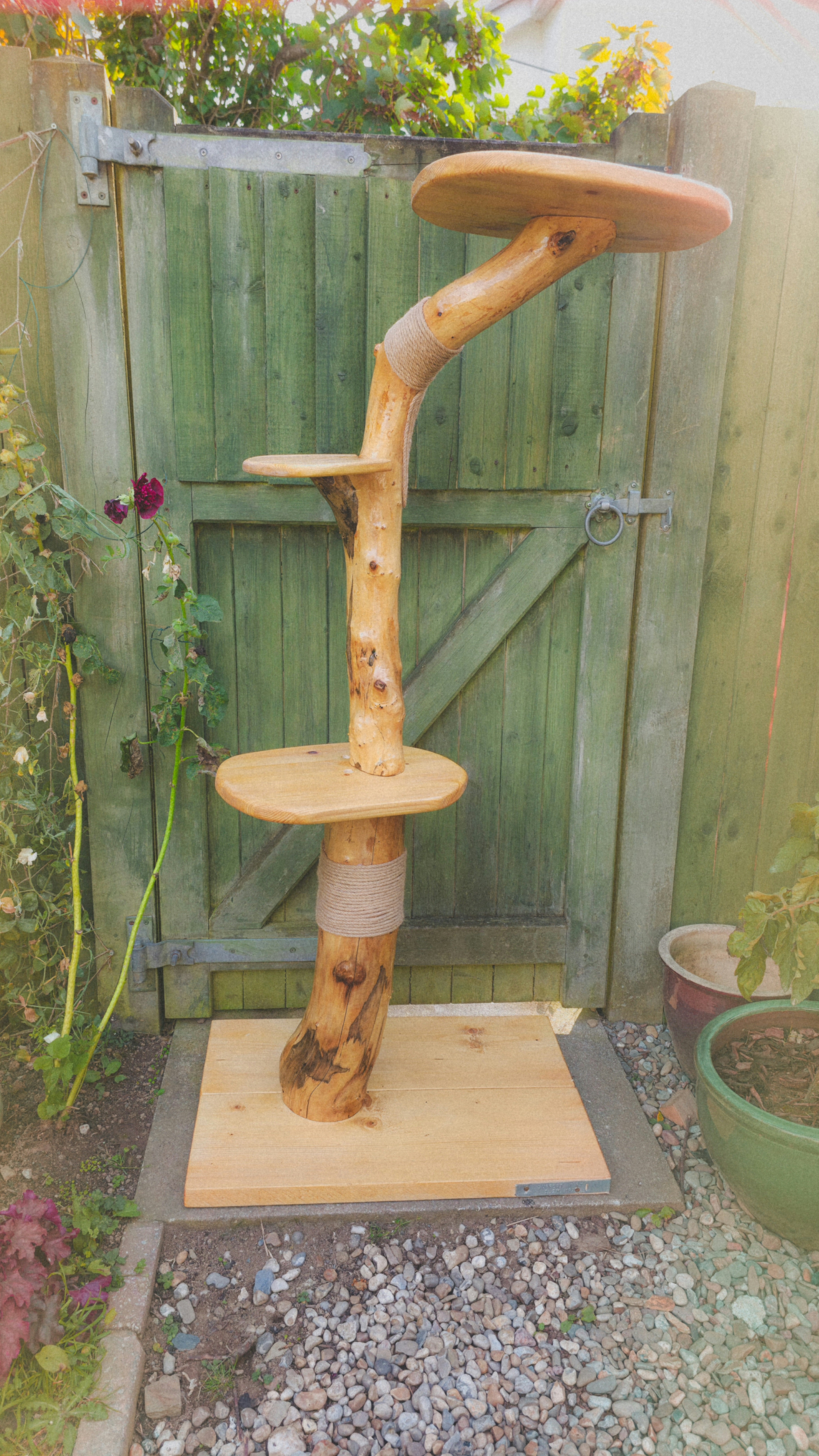 Wooden cat tree with natural design against a wooden fence