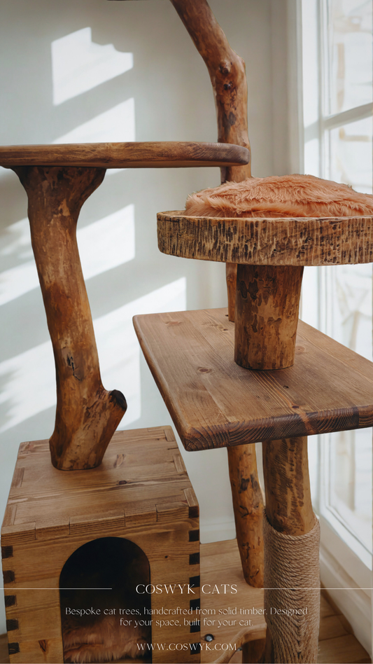 Wooden cat tree made from branches with multiple levels and a platform in a bright room.