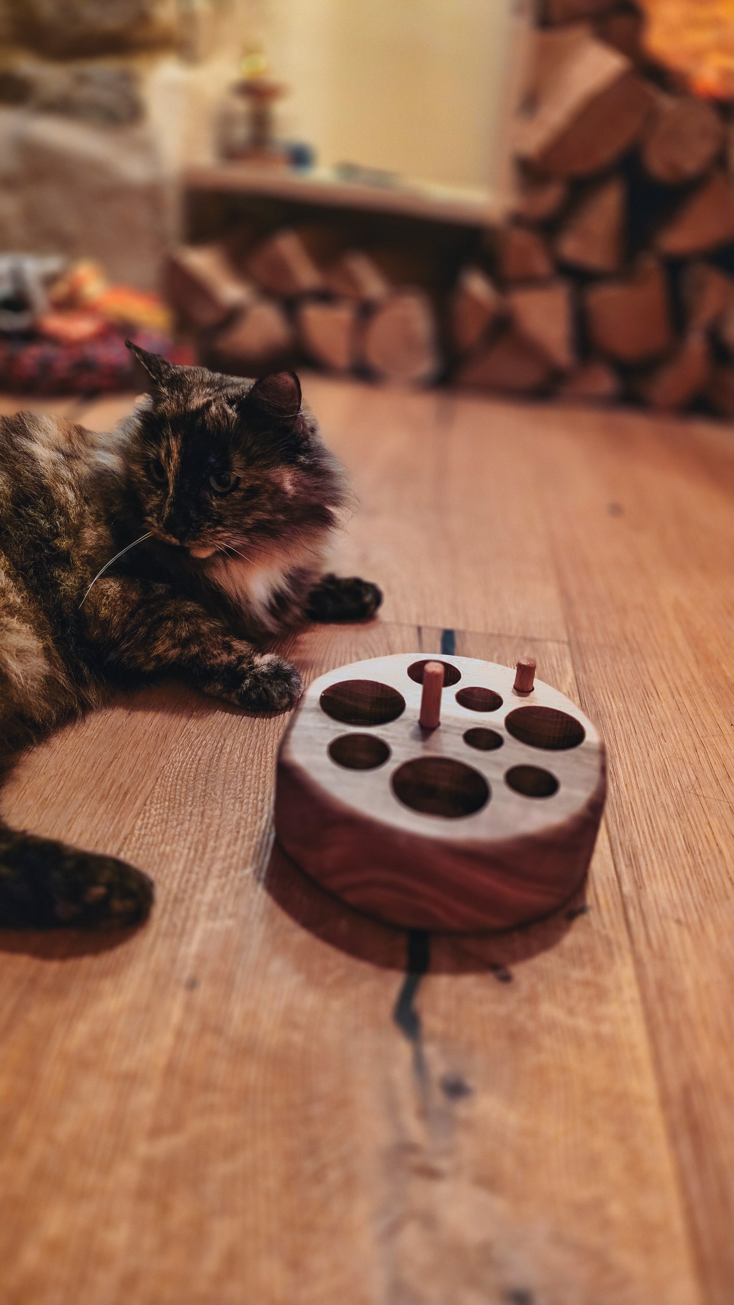 Cat interacting with COSWYK branded feeding puzzle, solid wood cat feeding puzzle.