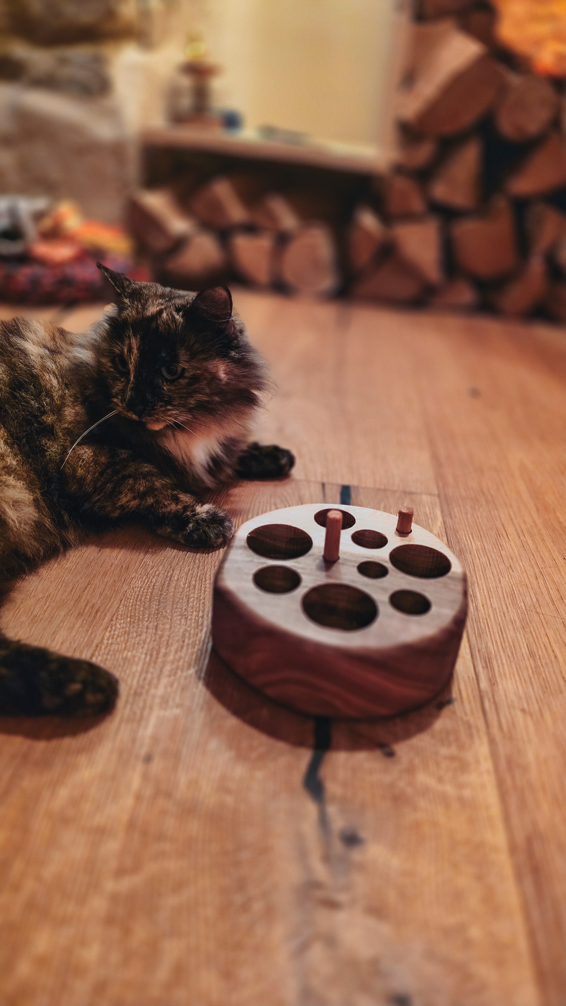 Cat interacting with COSWYK branded feeding puzzle, solid wood cat feeding puzzle.