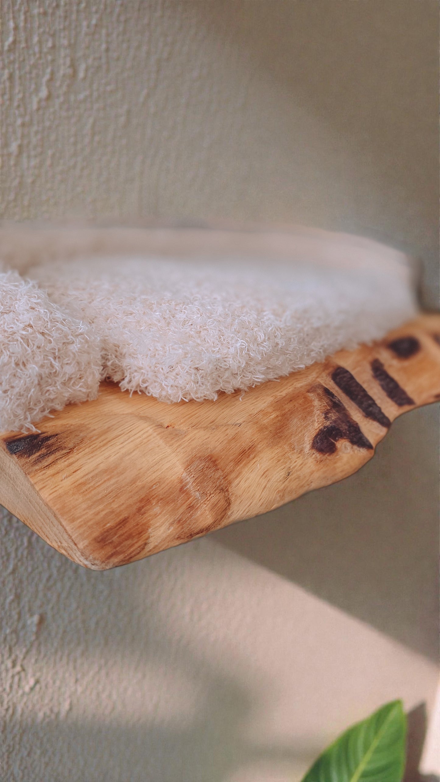 close up of solid oak live edge wall mounted modular cat bed