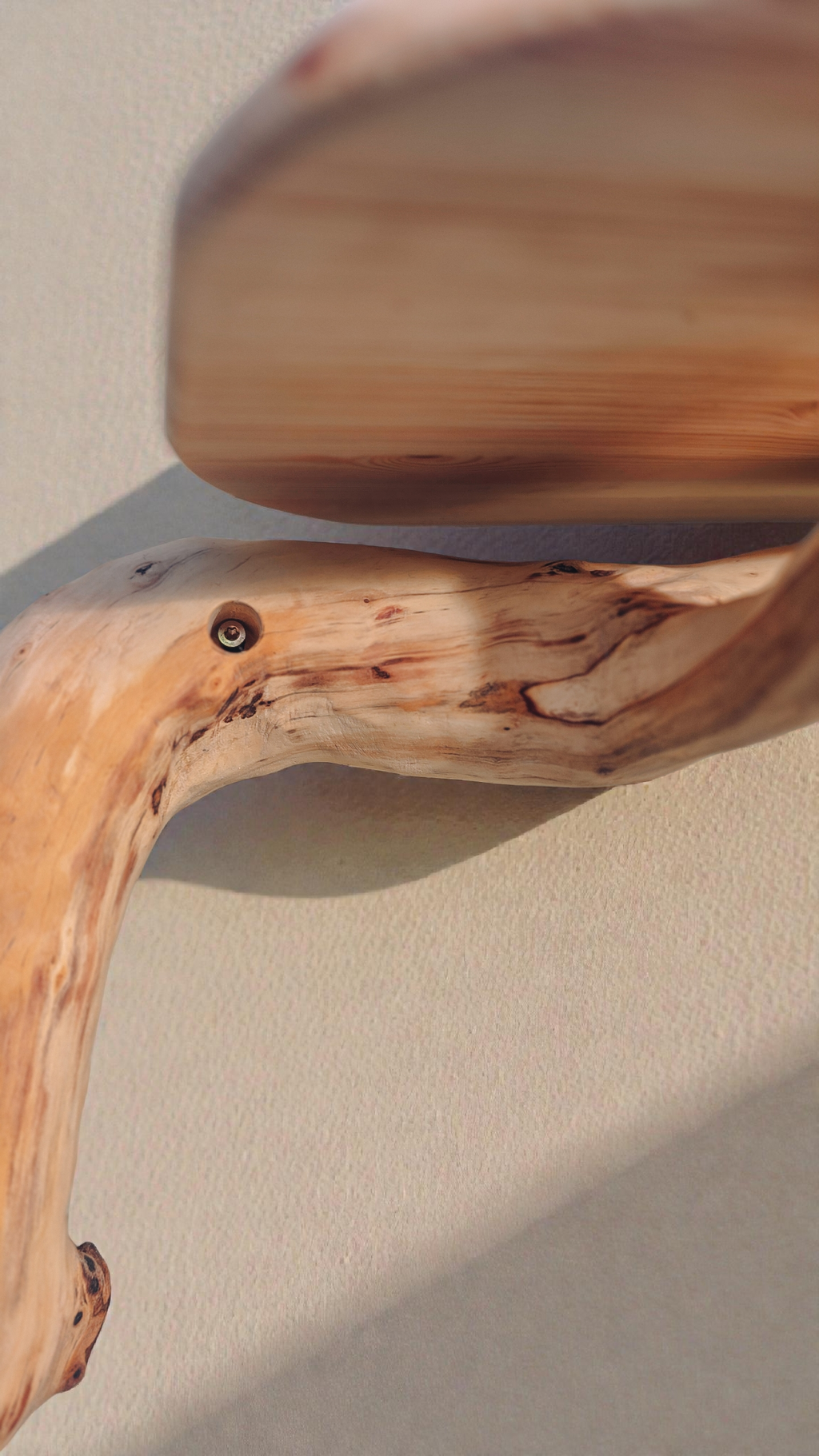 close up wooden branch cat bed showing wood grain detail