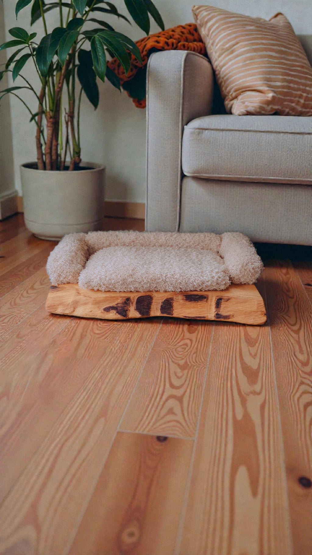 solid oak cosy pet bed on a wooden floor with a couch and plant in the background