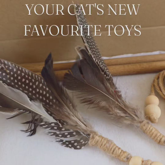 video of natural cat toy set with wood rope and feathers to play