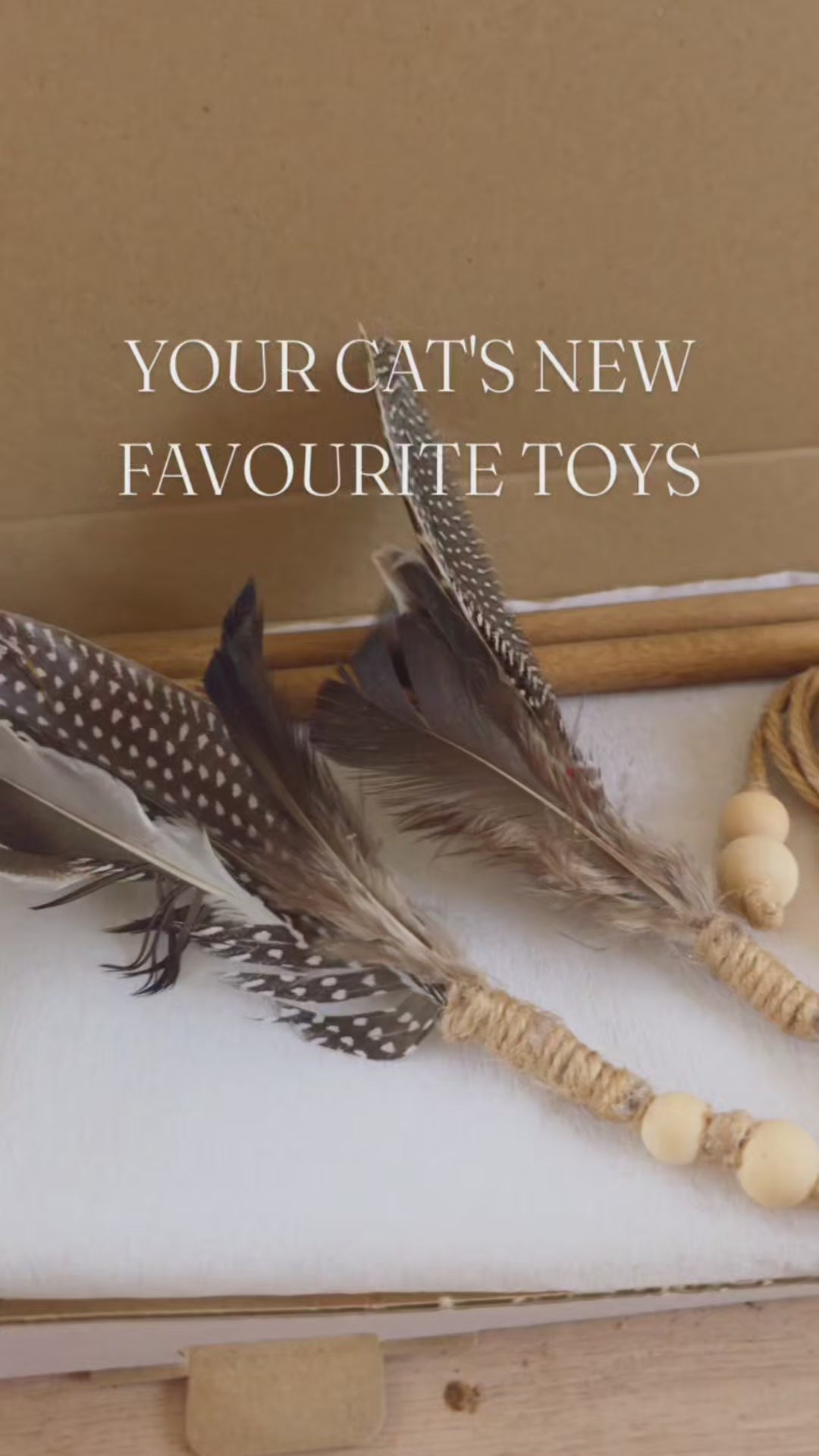 video of natural cat toy set with wood rope and feathers to play