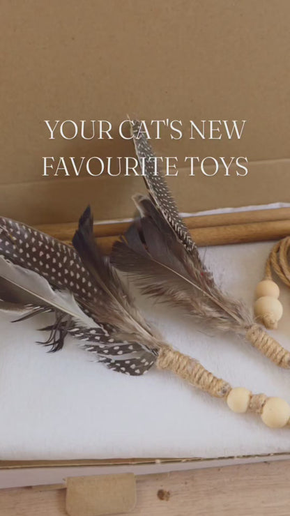 video of natural cat toy set with wood rope and feathers to play