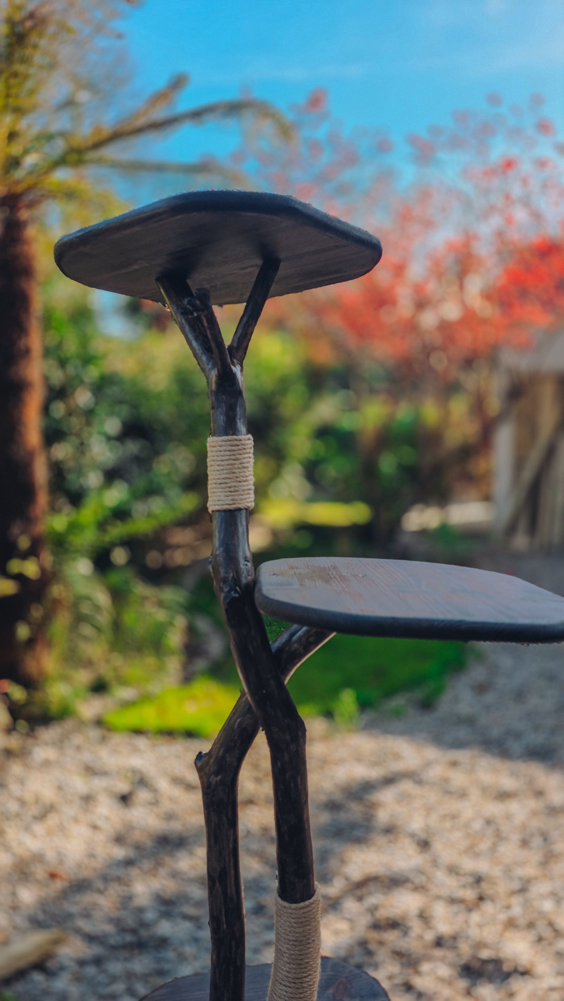Solid Wood Outdoor Cat Tree
