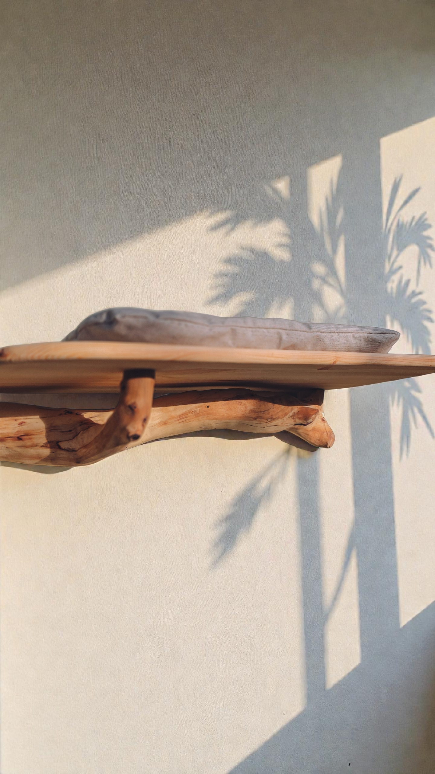 Branch Wall Shelf