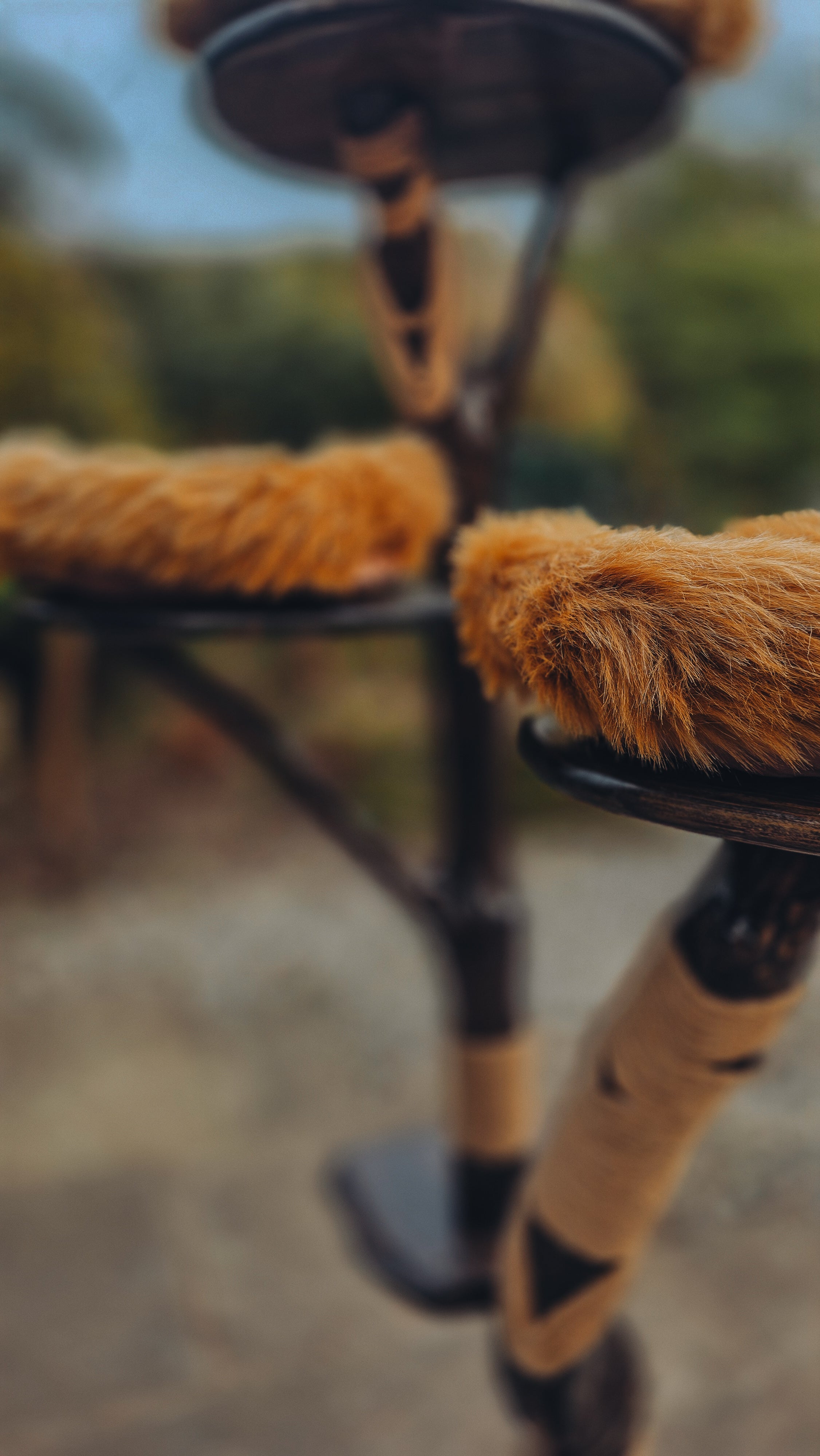 Luxury Solid Wood Indoor Cat Tree