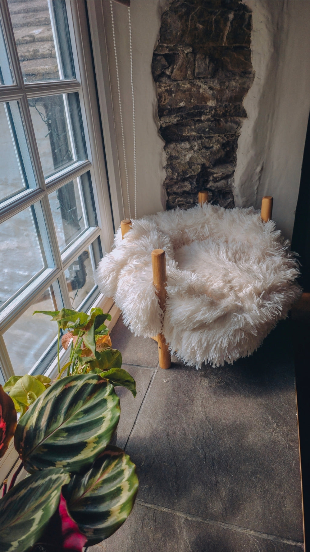 The Cloud Bed