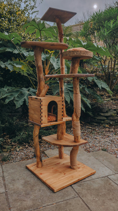 Bespoke Solid Wood Indoor Cat Tree