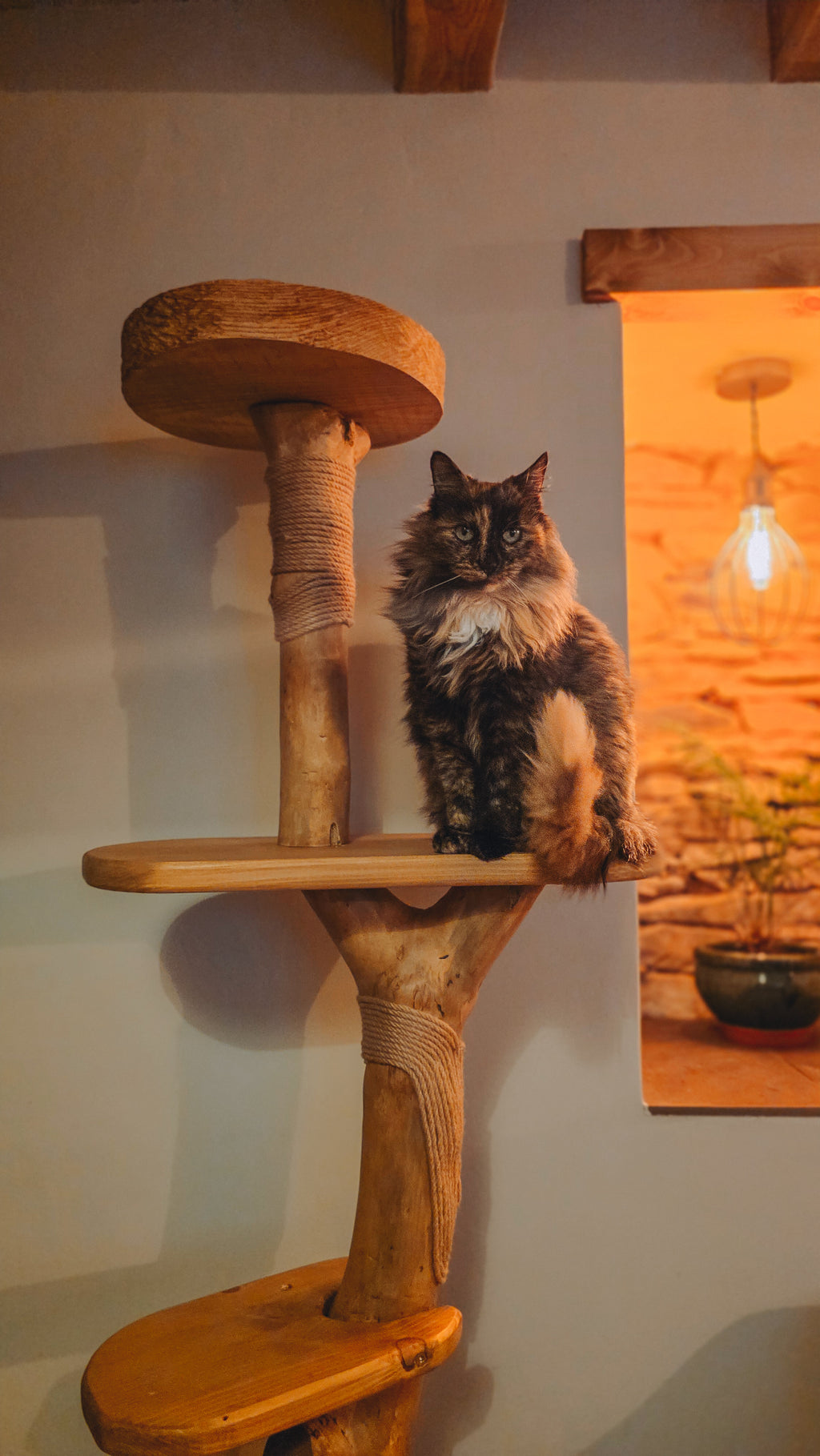 Luxury Solid Wood Indoor Cat Tree