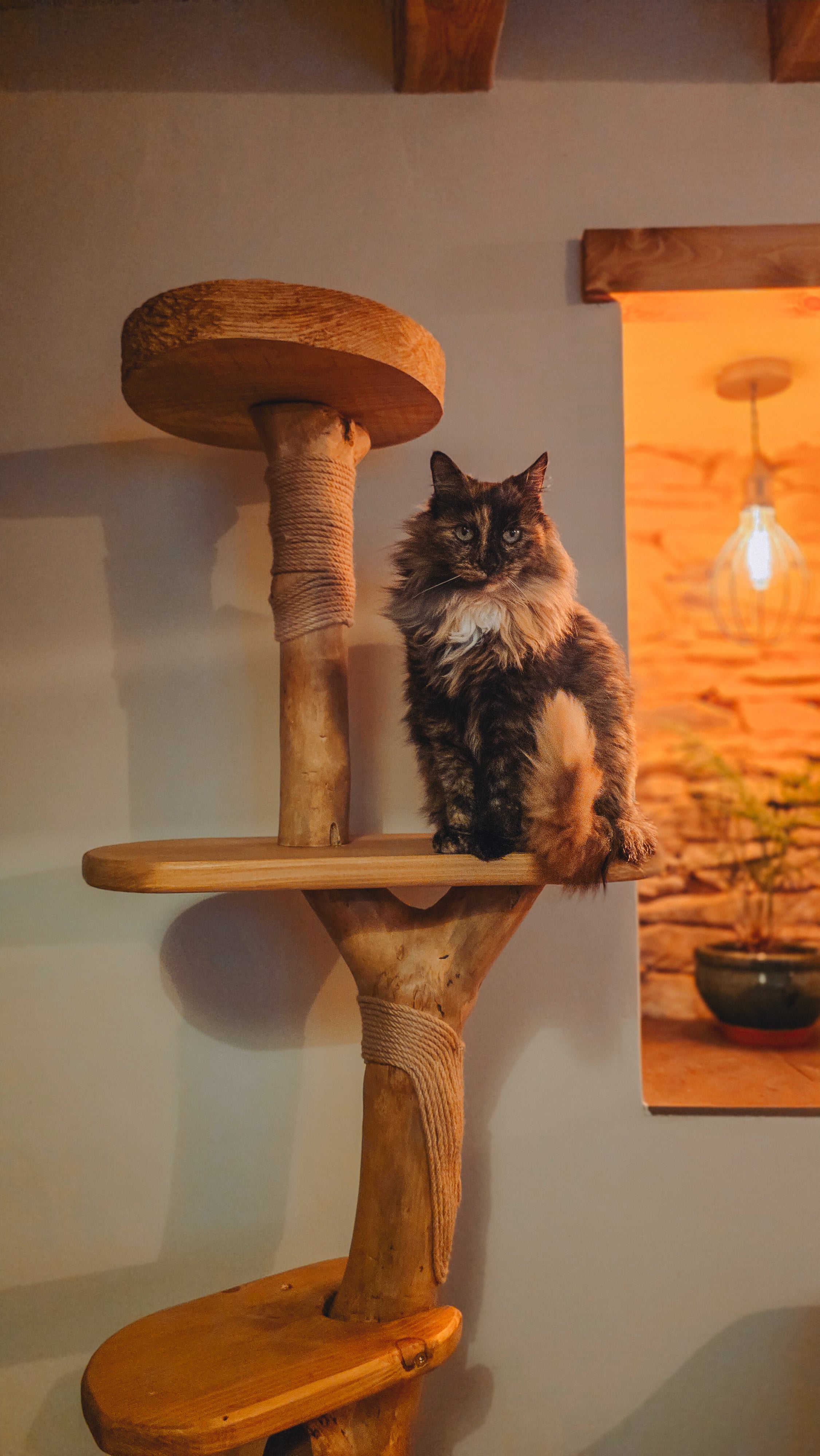 Luxury Solid Wood Indoor Cat Tree