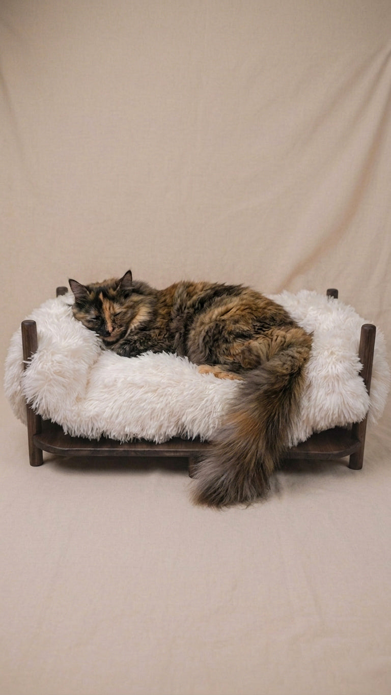 The Cloud Bed