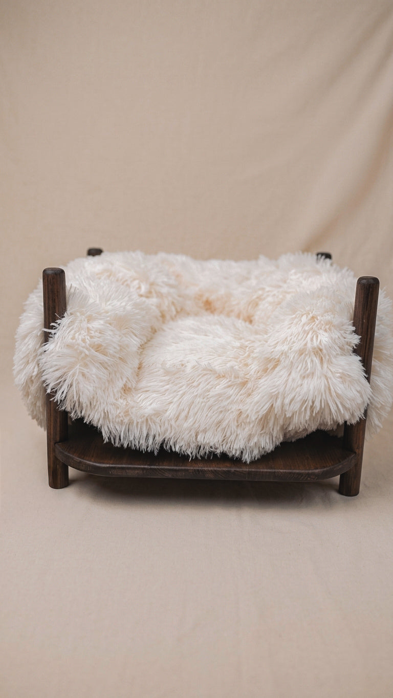The Cloud Bed