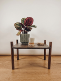 Regia Side Table