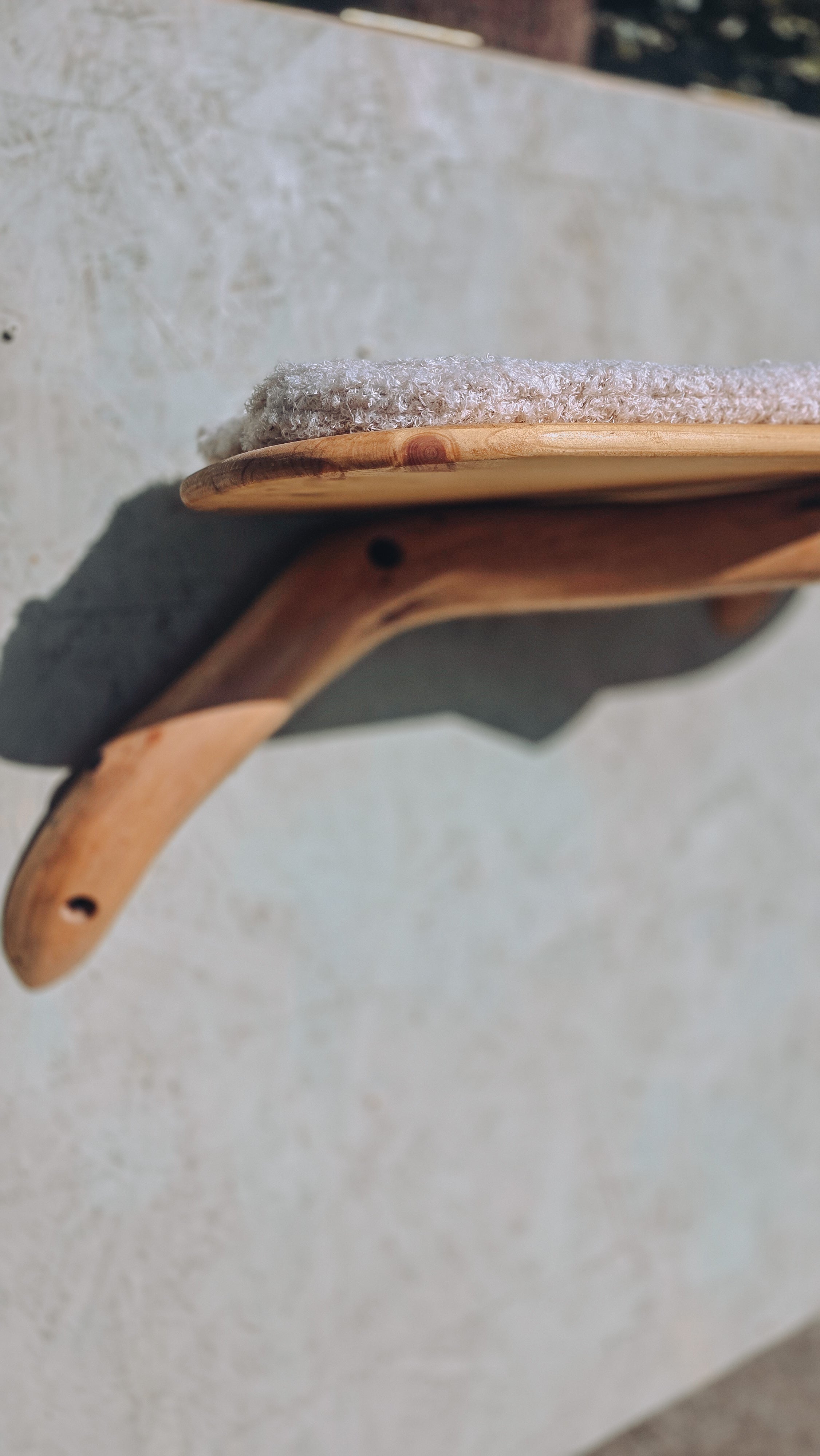 Branch Wall Shelf