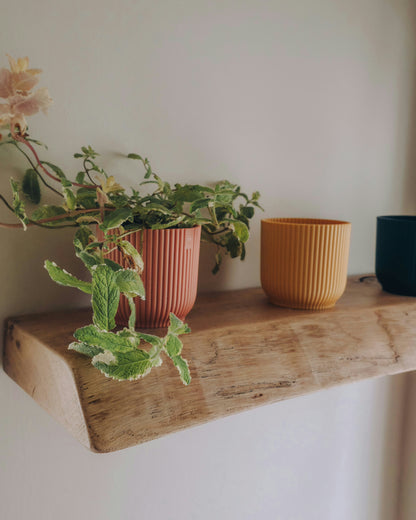 Live Edge Wooden Shelf