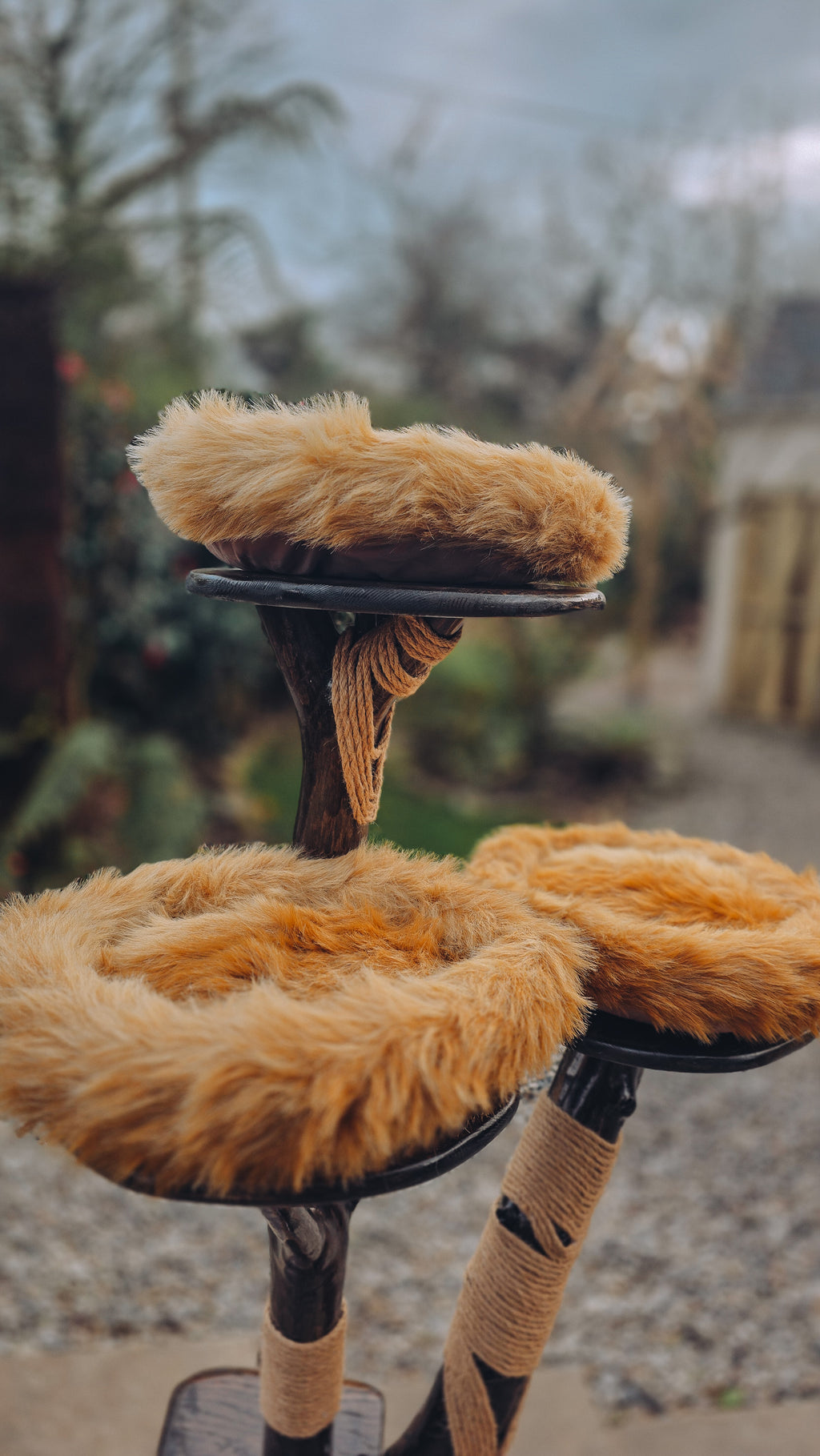Luxury Solid Wood Indoor Cat Tree