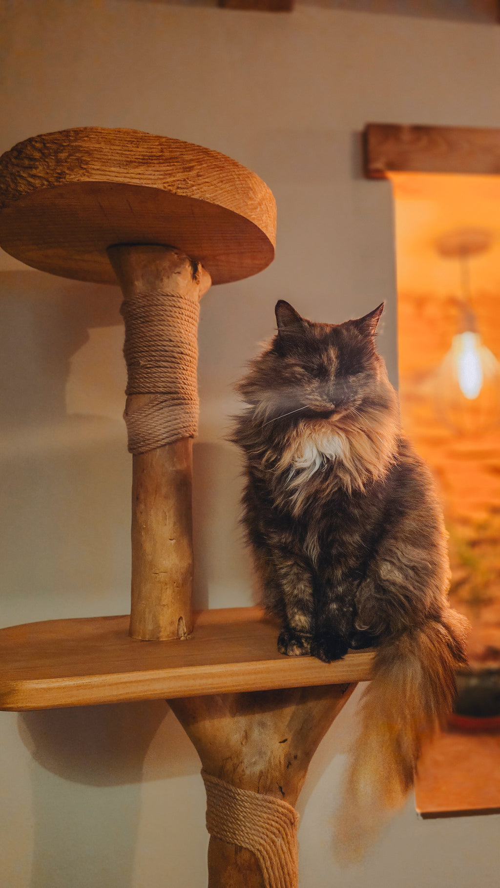 Luxury Solid Wood Indoor Cat Tree