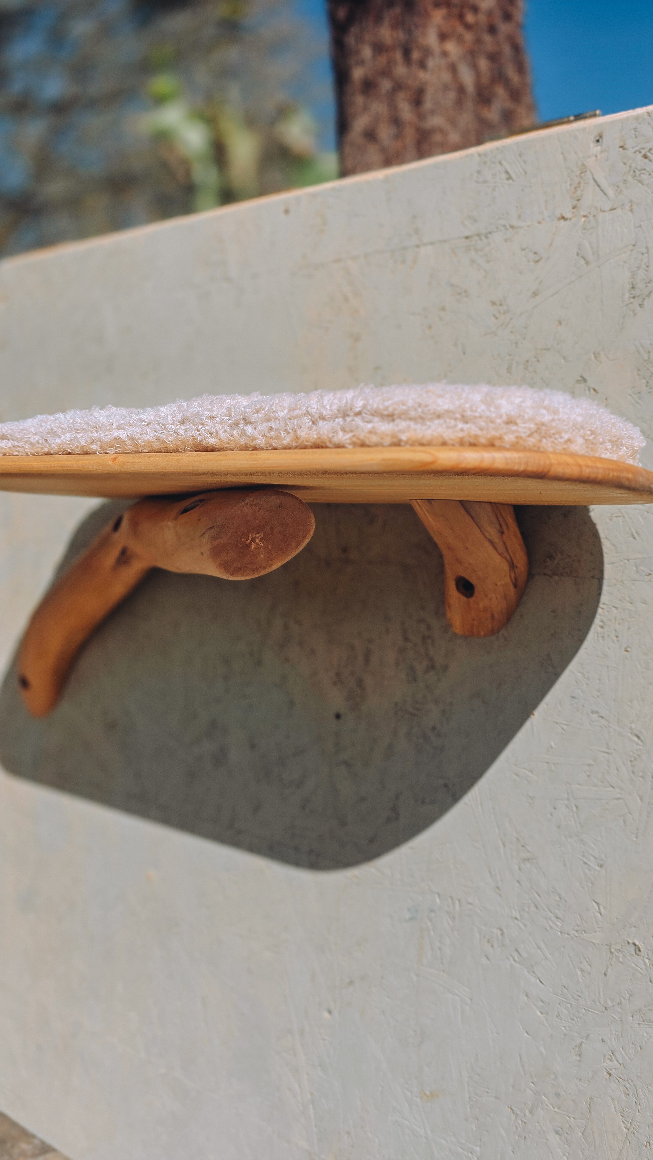 Branch Wall Shelf