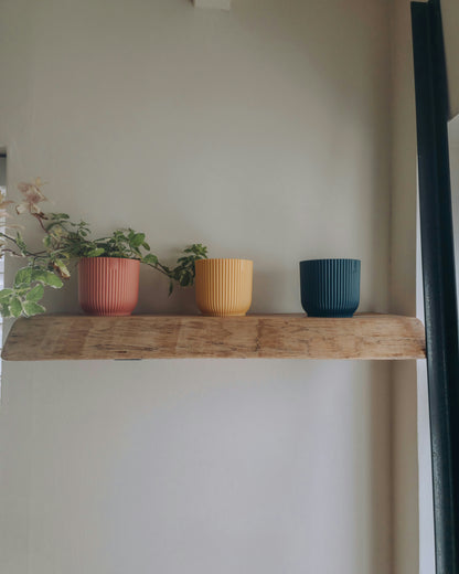 Live Edge Wooden Shelf