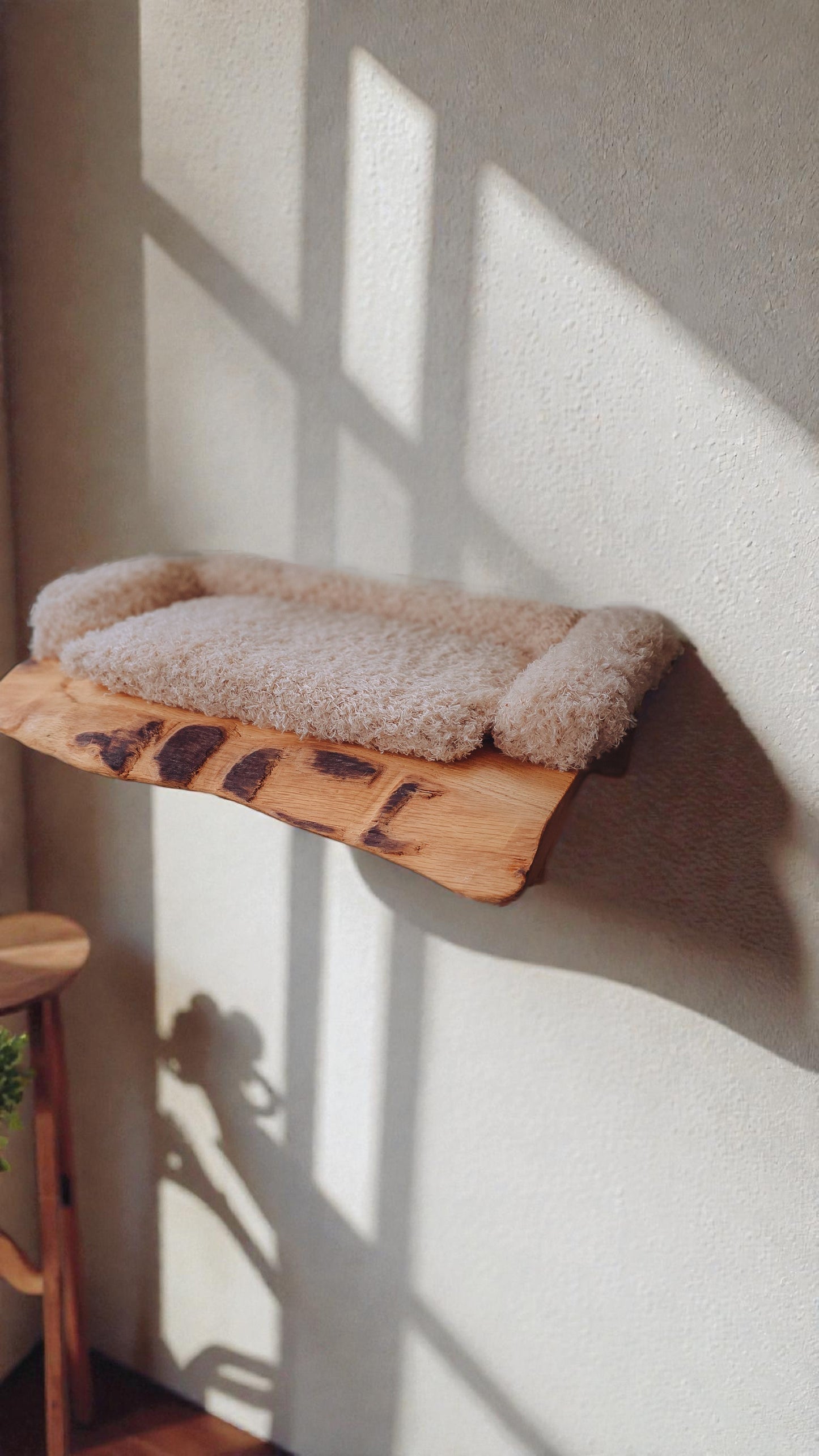 Cat shelf with cushion against a wall with sunlight casting shadows