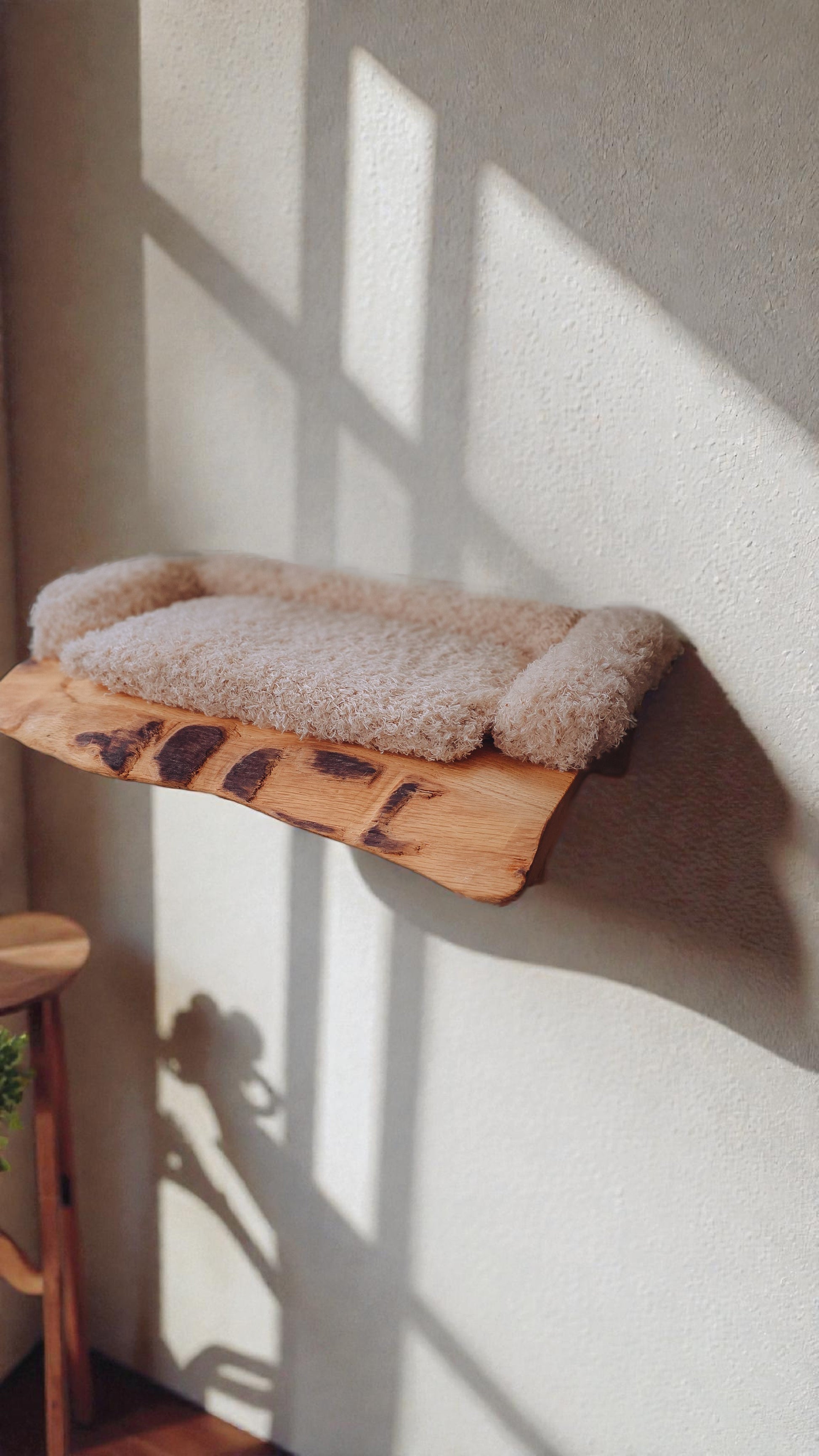 Cat shelf with cushion against a wall with sunlight casting shadows