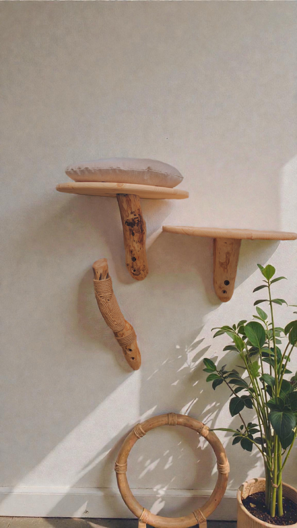 wall mounted modular cat shelves and scratching post on white wall with plant decor