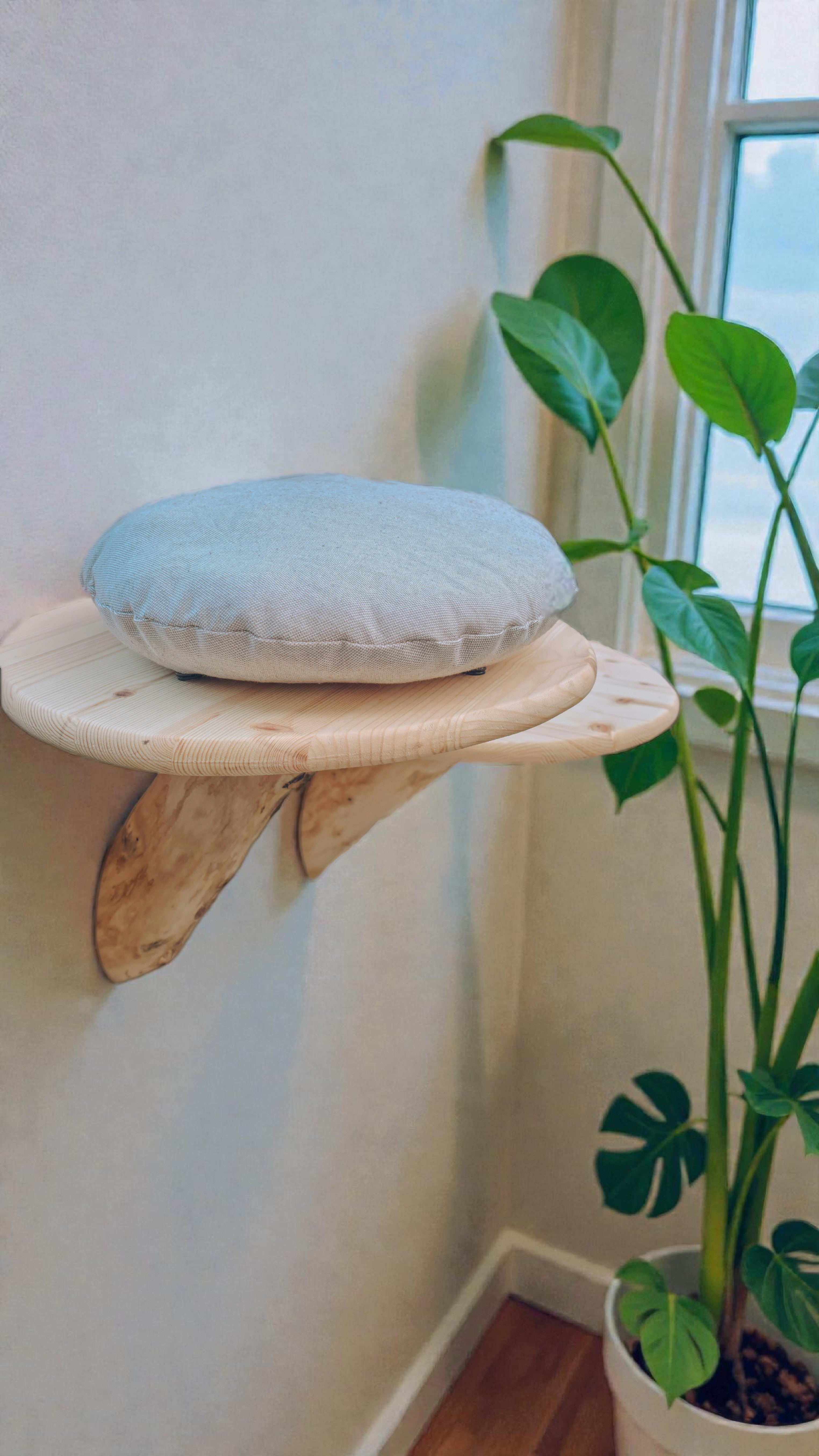 Wooden wall mounted cat bed with a cushion next to a plant indoors